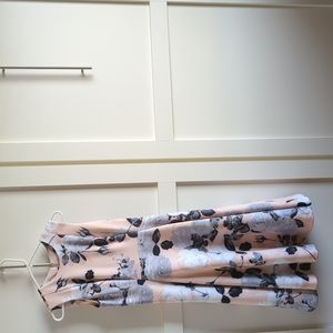 Calvin Klein size 6 Floral A-Line Dress